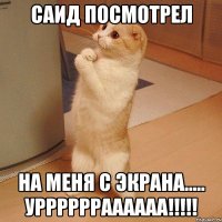 Саид посмотрел На меня с экрана..... Урррррраааааа!!!!!