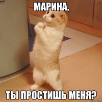 Марина, ты простишь меня?