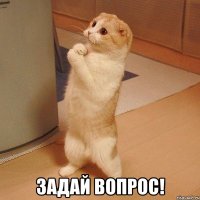  Задай вопрос!