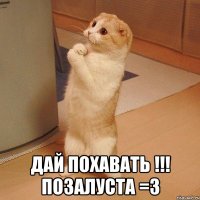  дай похавать !!! Позалуста =З