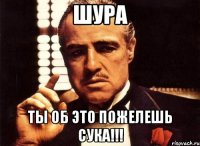 Шура Ты об это пожелешь сука!!!