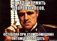 не надо кормить дворовых псов, оставляя при этом домашних питомцев голодать.