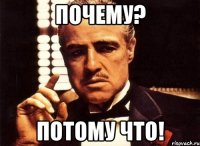 почему? потому что!