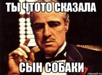 Ты чтото сказала Сын собаки