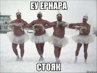 eу ернара стояк