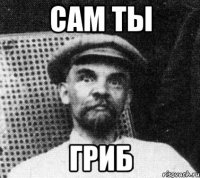 Сам ты Гриб