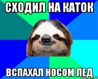 СХОДИЛ НА КАТОК ВСПАХАЛ НОСОМ ЛЕД