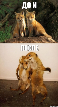 ДО и ПОСЛЕ