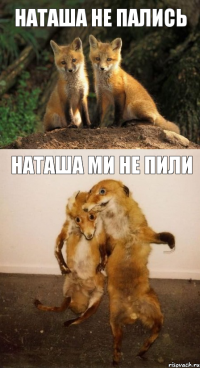 наташа не пались наташа ми не пили