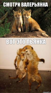 смотри валерьянка вот это пьянка