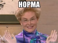 норма 