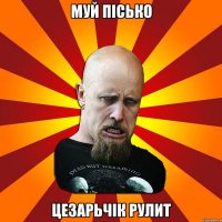 муй пісько цезарьчік рулит