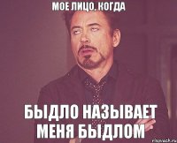 Мое лицо, когда Быдло называет меня быдлом