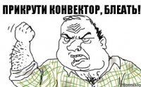 Прикрути конвектор, блеать!