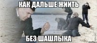 Как дальше жиить Без шашлыка