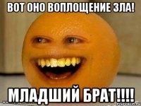 Вот оно воплощение зла! МЛАДШИЙ БРАТ!!!!