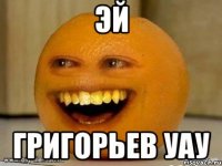 эй григорьев уау