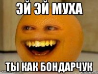 Эй Эй Муха Ты как Бондарчук