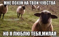 мне похуй на твои чувства но я люблю тебя,милая