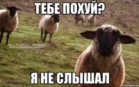 Тебе похуй? Я не слышал