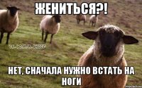 Жениться?! Нет, сначала нужно встать на ноги