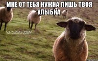 Мне от тебя нужна лишь твоя улыбка 