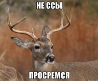 не ссы просремся