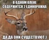 В одном олене содержится 2 единорожка да,да они существуют;)