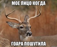 Мое лицо когда Гоара пошутила