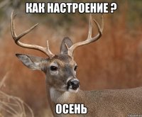 Как настроение ? осень