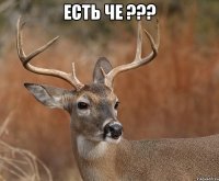 Есть че ??? 