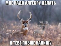 Мне надо алгебру делать Я тебе позже напишу