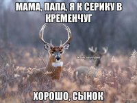 Мама, папа, я к Серику в Кременчуг Хорошо, сынок