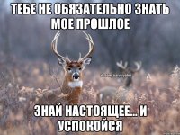 Тебе не обязательно знать мое прошлое Знай настоящее... И успокойся