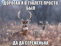 Дорогая я в туалете просто был Да да Сереженька