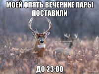 Моей опять вечерние пары поставили До 23:00