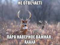 Не отвечает( Пара наверное важная... ахаха