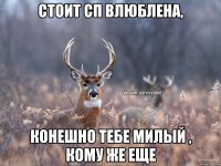 стоит сп влюблена, конешно тебе милый , кому же еще