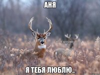 Аня Я тебя люблю..