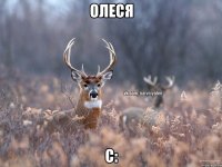 олеся c: