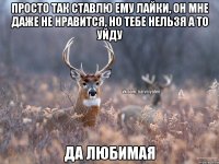 просто так ставлю ему лайки, он мне даже не нравится, но тебе нельзя а то уйду да любимая