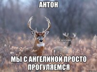 Антон мы с Ангелиной просто прогуляемся