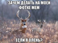 Зачем делать на моей фотке мем если я олень?