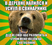 В ДЕРЕВНЕ НАПИЛСЯ И УСНУЛ В СВИНАРНИКЕ ДЕД НЕ СМОГ НАС РАЗЛИЧИТЬ И УТРОМ МЕНЯ УВЕЗЛИ НА СКОТОБОЙНЮ