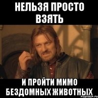 Нельзя просто взять и пройти мимо бездомных животных