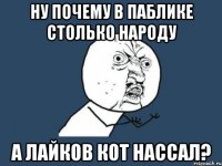 ну почему в паблике столько народу а лайков кот нассал?