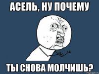 АСЕЛЬ, НУ ПОЧЕМУ ТЫ СНОВА МОЛЧИШЬ?