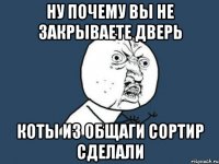 ну почему вы не закрываете дверь коты из общаги сортир сделали