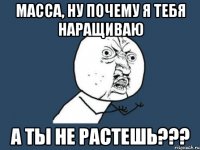 Масса, ну почему я тебя наращиваю А ты не растешь???