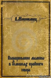 А.Мексиканец Выращивание малины в условиях крайнего севера